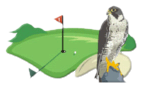 Faulenberg Golfclub e.V.